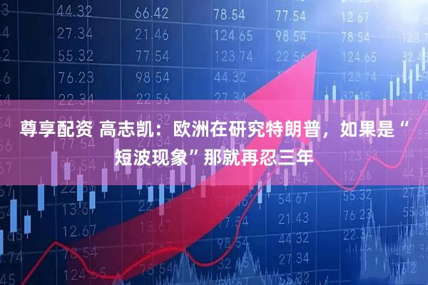 尊享配资 高志凯：欧洲在研究特朗普，如果是“短波现象”那就再忍三年