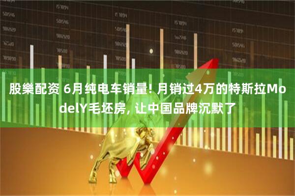 股樂配资 6月纯电车销量! 月销过4万的特斯拉ModelY毛坯房, 让中国品牌沉默了