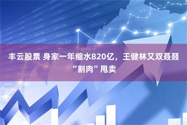 丰云股票 身家一年缩水820亿，王健林又双叒叕“割肉”甩卖
