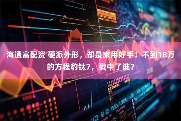 海通富配资 硬派外形，却是家用好手！不到18万的方程豹钛7，戳中了谁？